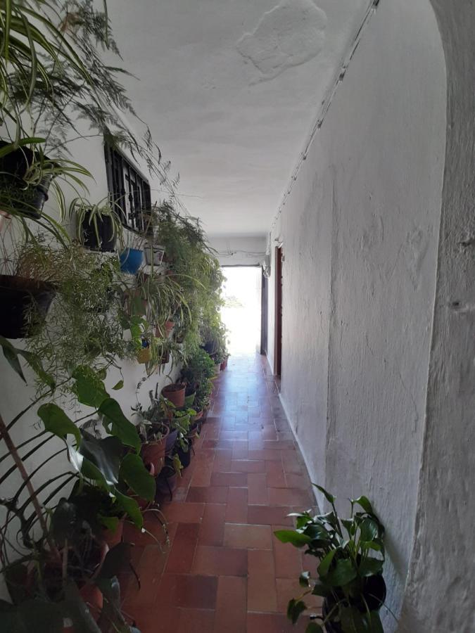 Loft De La Morena Y Estudio Jr Vejer de la Frontera Εξωτερικό φωτογραφία